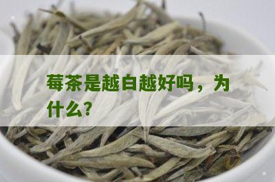 莓茶是越白越好吗，为什么？