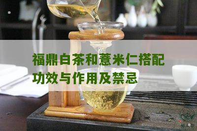 福鼎白茶和薏米仁搭配功效与作用及禁忌