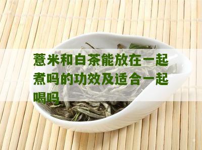 薏米和白茶能放在一起煮吗的功效及适合一起喝吗