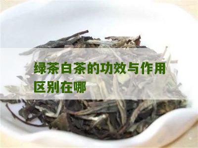 绿茶白茶的功效与作用区别在哪