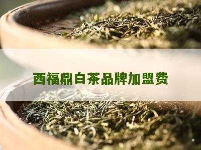 西福鼎白茶品牌加盟费