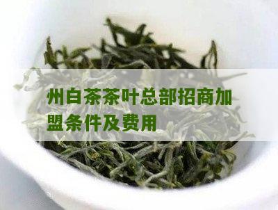 州白茶茶叶总部招商加盟条件及费用