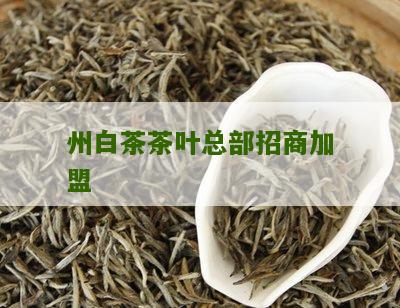 州白茶茶叶总部招商加盟