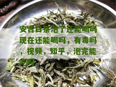 安吉白茶泡了还能喝吗现在还能喝吗，有毒吗，视频，知乎，泡完能吃吗