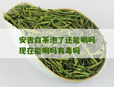 安吉白茶泡了还能喝吗现在能喝吗有毒吗