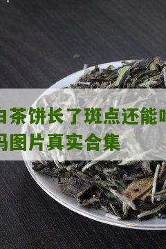 白茶饼长了斑点还能吃吗图片真实合集