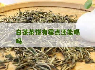 白茶茶饼有霉点还能喝吗