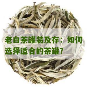 老白茶罐装及存：如何选择适合的茶罐？