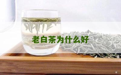 老白茶为什么好