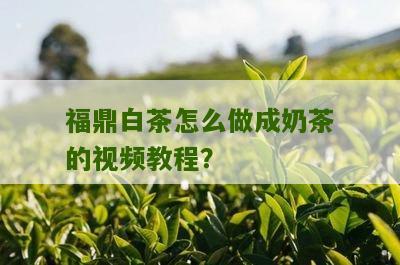 福鼎白茶怎么做成奶茶的视频教程？