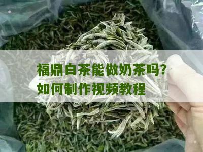 福鼎白茶能做奶茶吗？如何制作视频教程