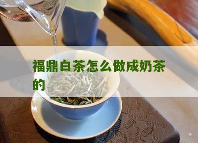 福鼎白茶怎么做成奶茶的