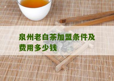 泉州老白茶加盟条件及费用多少钱