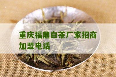 重庆福鼎白茶厂家招商加盟电话