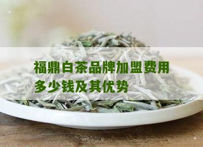 福鼎白茶品牌加盟费用多少钱及其优势