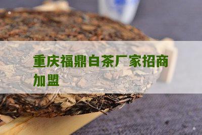 重庆福鼎白茶厂家招商加盟