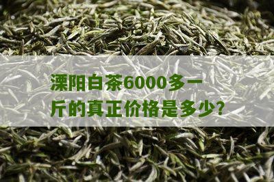 溧阳白茶6000多一斤的真正价格是多少？