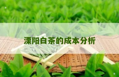 溧阳白茶的成本分析