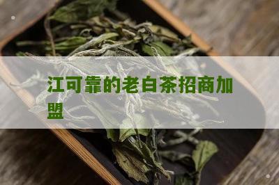 江可靠的老白茶招商加盟