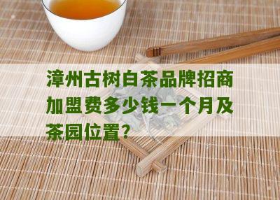 漳州古树白茶品牌招商加盟费多少钱一个月及茶园位置？