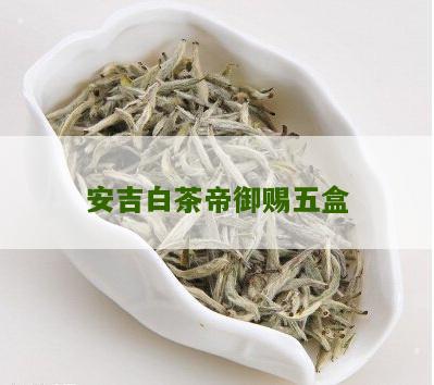 安吉白茶帝御赐五盒