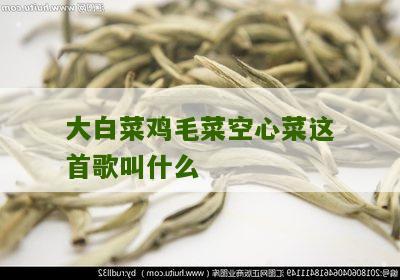 大白菜鸡毛菜空心菜这首歌叫什么