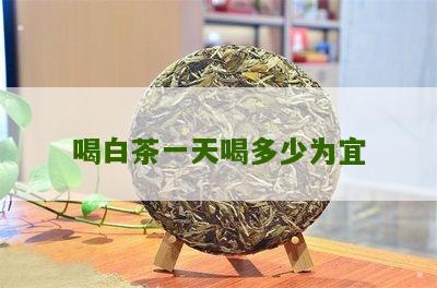 喝白茶一天喝多少为宜