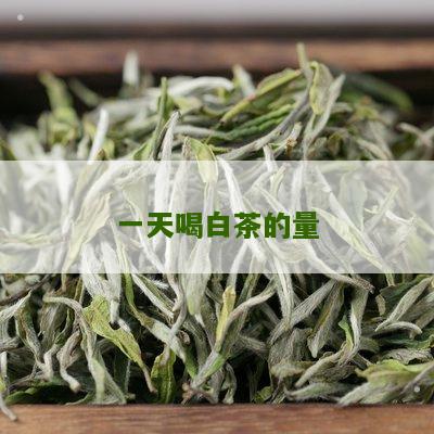 一天喝白茶的量