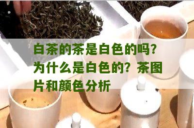 白茶的茶是白色的吗？为什么是白色的？茶图片和颜色分析