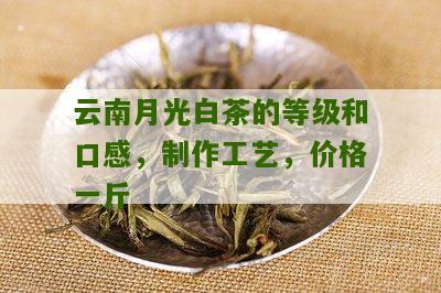 云南月光白茶的等级和口感，制作工艺，价格一斤