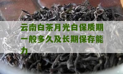 云南白茶月光白保质期一般多久及长期保存能力