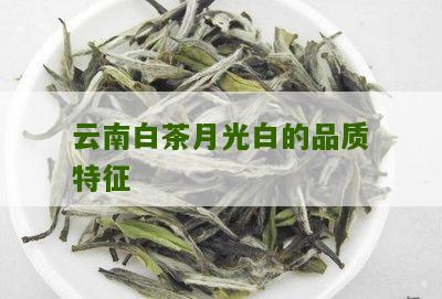 云南白茶月光白的品质特征