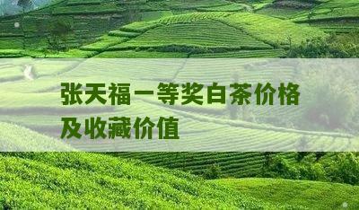 张天福一等奖白茶价格及收藏价值