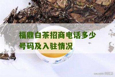 福鼎白茶招商电话多少号码及入驻情况