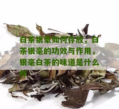 白茶银豪如何存放，白茶银毫的功效与作用，银毫白茶的味道是什么样