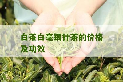 白茶白毫银针茶的价格及功效