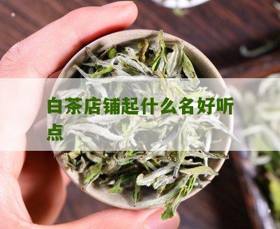 白茶店铺起什么名好听点