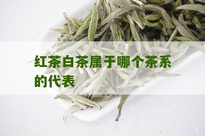 红茶白茶属于哪个茶系的代表