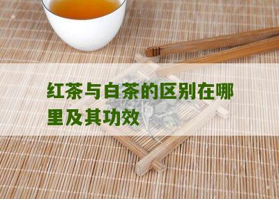 红茶与白茶的区别在哪里及其功效