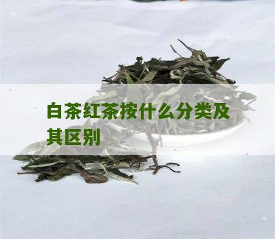 白茶红茶按什么分类及其区别