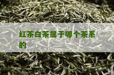 红茶白茶属于哪个茶系的