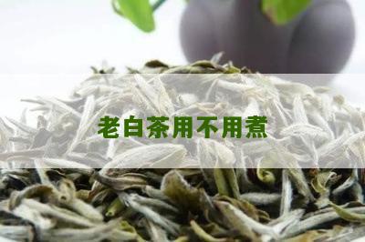 老白茶用不用煮