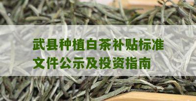 武县种植白茶补贴标准文件公示及投资指南