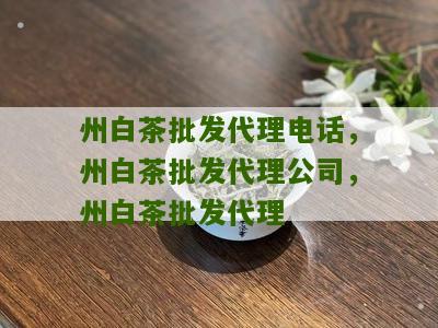 州白茶批发代理电话，州白茶批发代理公司，州白茶批发代理