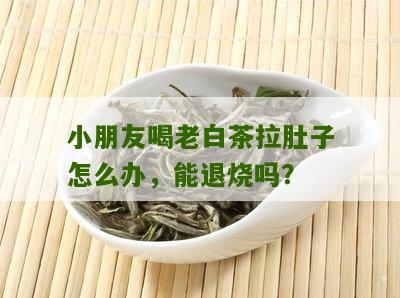 小朋友喝老白茶拉肚子怎么办，能退烧吗？