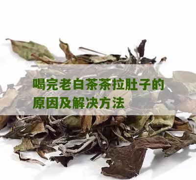 喝完老白茶茶拉肚子的原因及解决方法