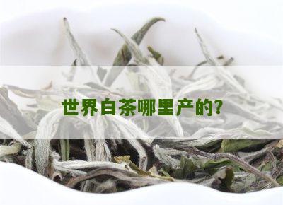 世界白茶哪里产的？