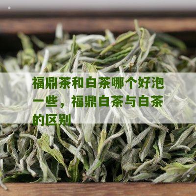 福鼎茶和白茶哪个好泡一些，福鼎白茶与白茶的区别