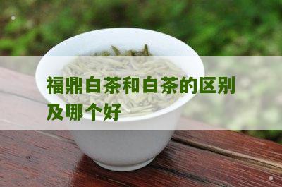 福鼎白茶和白茶的区别及哪个好