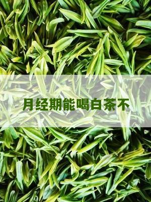 月经期能喝白茶不